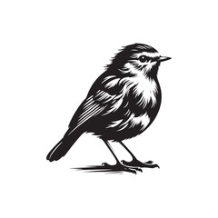 Robin bird Silhouette- Charming Black Vector Art Capturing the Delicate Beauty and Iconic Presence of These Beloved Bird - Robin Bird Vector - Robin Bird Illustration.