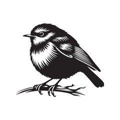 Robin bird Silhouette- Charming Black Vector Art Capturing the Delicate Beauty and Iconic Presence of These Beloved Bird - Robin Bird Vector - Robin Bird Illustration.