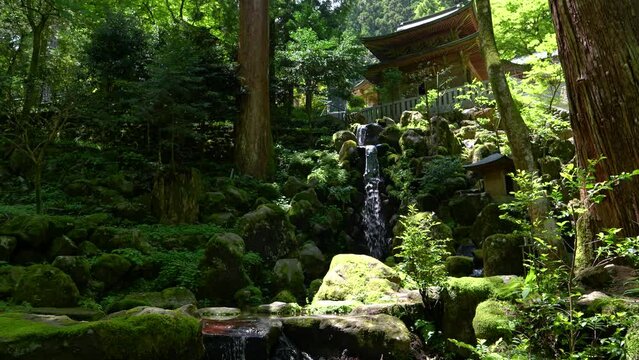 Locked off tripod view inside lush green forest with temple and waterfall
