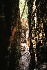Set of stairs descending into a cave in a lush, green forest