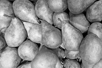 Close-up of Fresh Ripe Pears in Monochrome for Food Market Design