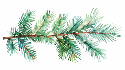 Spruce branch watercolor fir branch Christmas tree 