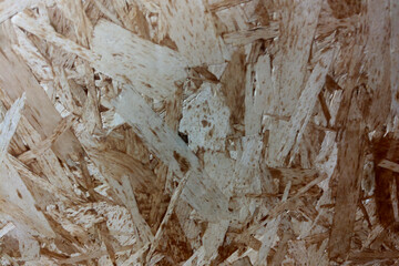 Textured Wood Panel Background for Construction and Design Projects