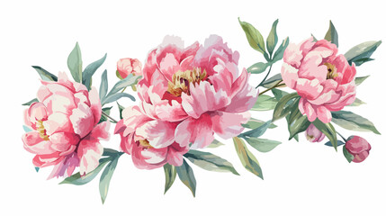 Summer flowers watercolor pink peonies. Floral clip 