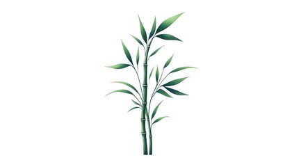 Fototapeta premium The image is a watercolor painting of a bamboo plant