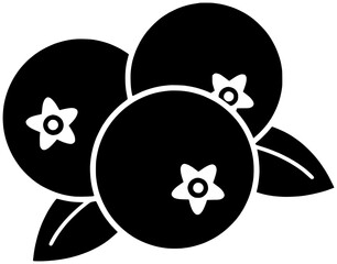 star illustration berry silhouette blue logo blueberry icon fruit outline tree hebrew jewish torah holiday passover judaism matzah pesach shape seder kosher israel for vector graphic background