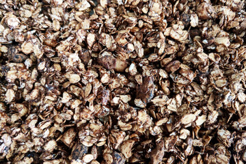 Healthy Organic Granola Close-Up for Breakfast and Snacks
