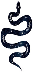 Watercolor illustration of snake silhouette with a space background. Hand-drawn isolated snake with a night sky, stars, moon and plant ornament.