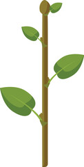 Vector illustration of a young plant sprout with vibrant green leaves