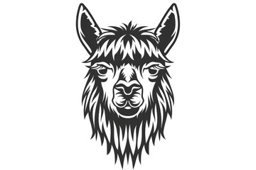 Obraz premium Close-up of a llama head on white background. Perfect for animal-themed designs