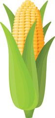 Vector illustration of fresh corn cob with green leaves and yellow husk on a white background. Perfect for agriculture, farming, nutrition, and healthy food concepts