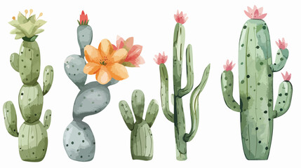Watercolor cacti decoration hand drawn flower illustration