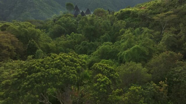 Aerial view of lush green village surrounded by mountains and forest, Wae Rebo, Flores, Indonesia.