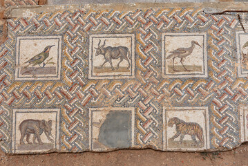 Mosaics at the ancient archaeological ruins of the Phoenician city of Carthage overlooking the Gulf of Tunis and the Mediterranean, Tunis, Tunisia.