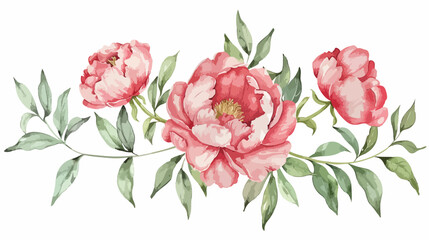 Watercolor peony and leaves hand drawn isolated