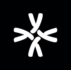 Obraz premium Y brand initial letters monogram. YYYY icon. Art work