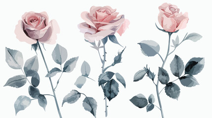 Watercolor pink flower rose and grey leaves Four . 