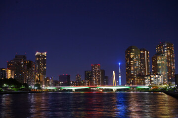 Fototapeta premium 東京都 隅田川の永代橋と街並み