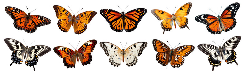 Butterflies png element set on transparent background