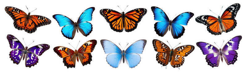 Obraz premium Butterflies png element set on transparent background