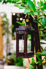 You better not poutI'm telling you why
Santa Claus is coming to town!.
Cathedral rose makes a well-shaped shrub with twiggy