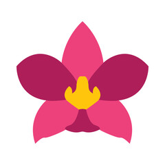 Moth Orchid Vector Flat Icon