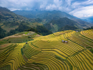 Aerial view of numerous rice terraces in Mu Cang Chai District, Vietnam