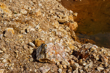 Cluster of limestone rock fragments near water