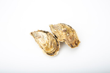 Fresh oyster shell isolated on a white background, showing intricate details and texture