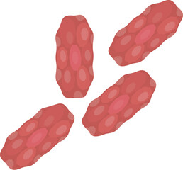 Handful of peanuts vector illustration on white background. Depicting a simple. Flat design cartoon of unshelled. Whole. Roasted. Salted. Unsalted peanuts. A healthy. Natural. And organic snack. Raw