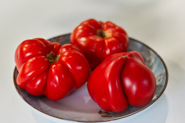 organic tomatoes on a plate, tomatoes grown in a mini organic farm.