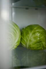 young cabbage lies in the refrigerator