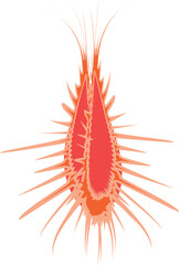 Vibrant orange abstract design with dynamic spiky burst pattern on a white background