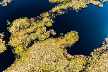 Islands overgrown with grass and young birch trees on a flooded peat bog, aerial view