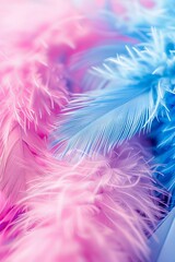 Obraz premium Close up photography of vibrant pink and blue feathers, showcasing captivating details