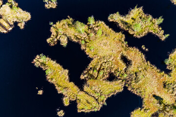Islands overgrown with grass and young birch trees on a flooded peat bog, aerial view