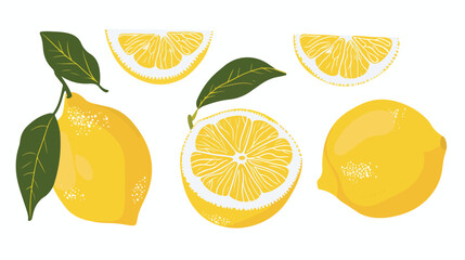 Whole ripe lemon on white background Vector style Vector