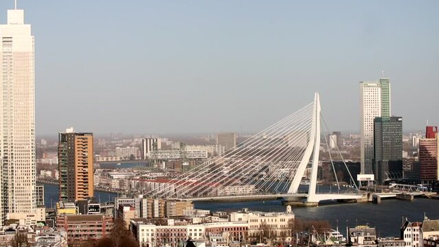 Static shot of Rotterdam skyline on a sunny day showing Erasmus Bridge and Meuse River in the view
