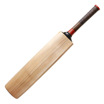 cricket bat transparent background