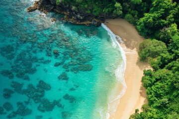 Beautiful tropical beach and coral reef