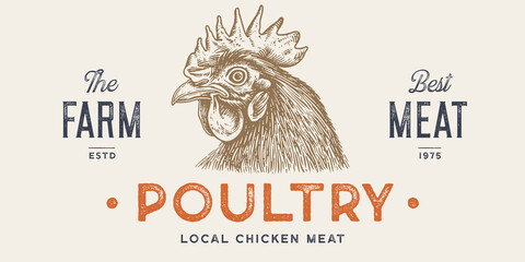 Rooster, chicken, hen head. Vintage retro print, rooster sketch ink pencil style drawing, engrave old school. Sketch artwork silhouette head rooster chicken. Side view profile. Vector Illustration