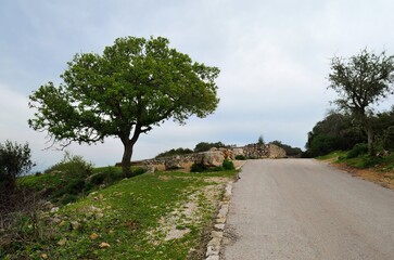 Scenic view of Mount Tabor in Israel