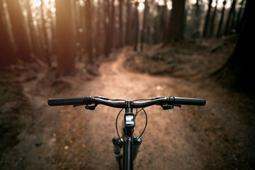 Exploring the Great Outdoors on a Mountain Bike