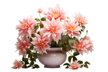 Ethereal Elegance: White Vase Overflowing With Pink Blossoms on a Clear PNG or White Background.