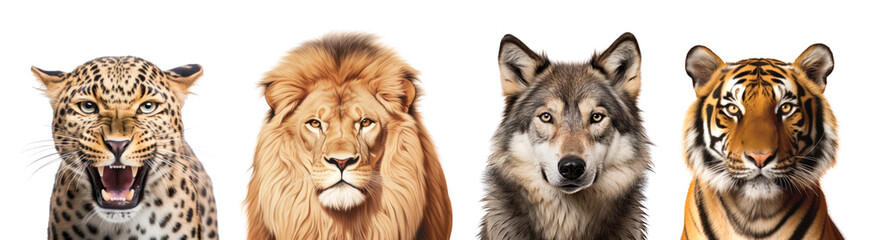 Obraz premium Animal wildlife head png element set on transparent background