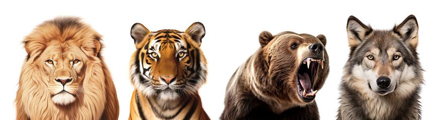 Obraz premium Animal wildlife head png element set on transparent background