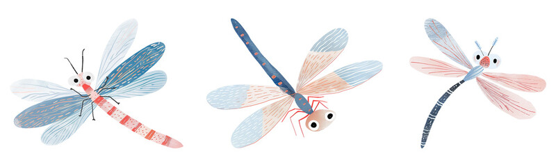 Dragonfly illustration png element set on transparent background