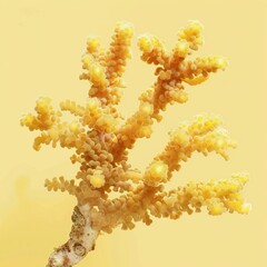 Obraz premium yellow sea corals.