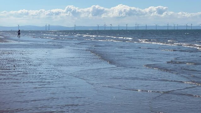Barefoot woman wading into the sea, windfarm in background.
