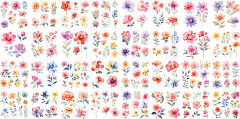A Big watercolor floral package collection. Use by fabric, fashion, wedding invitation, template, poster, romance, greeting, spring, bouquet, pattern, decoration and textile. 